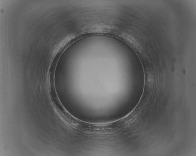 X0000070820678200606230922
