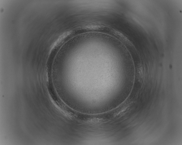 X0000070820734200606230921
