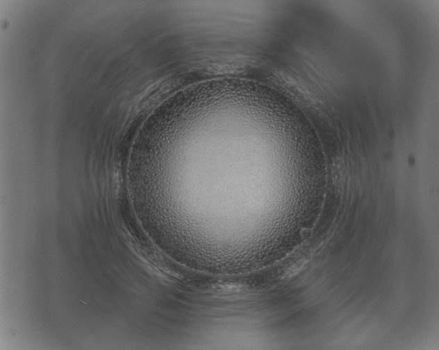 X0000070820741200606230921