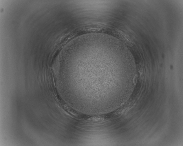 X0000070820745200606230921