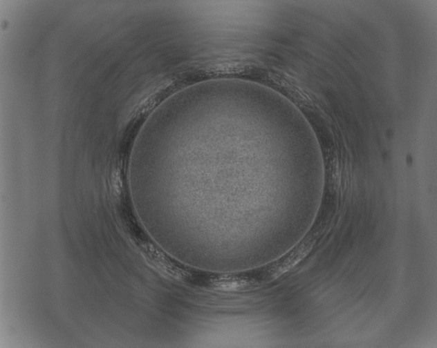 X0000070820746200606230921