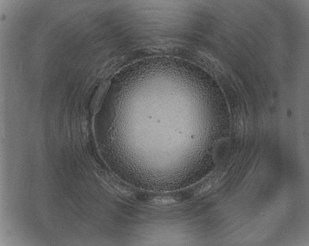 X0000070820749200606230921