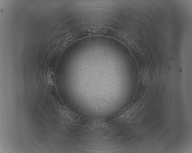 X0000070820770200606230920