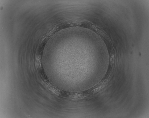 X0000070820772200606230920