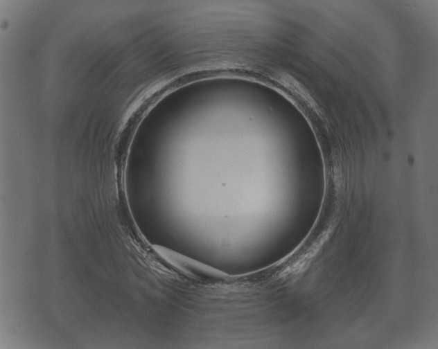 X0000070820781200606230920