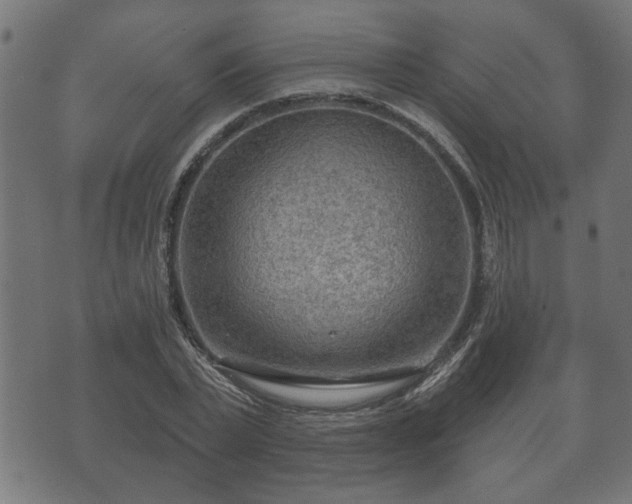 X0000070820783200606230920