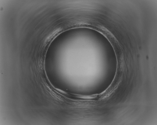 X0000070820785200606230920