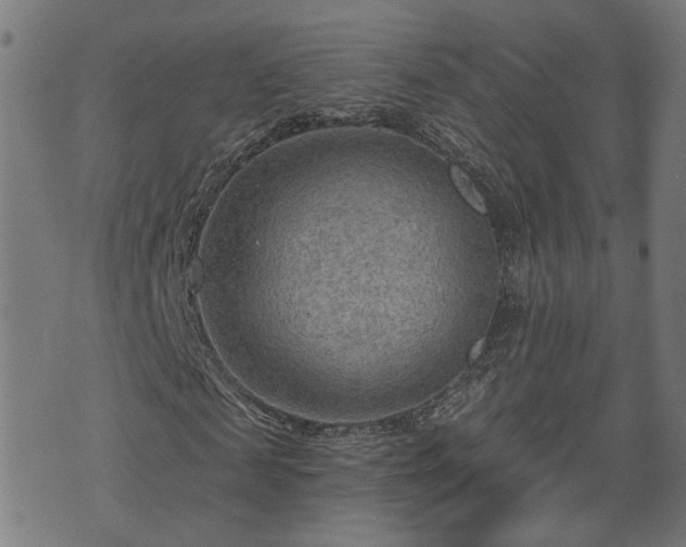 X0000070820817200606230919