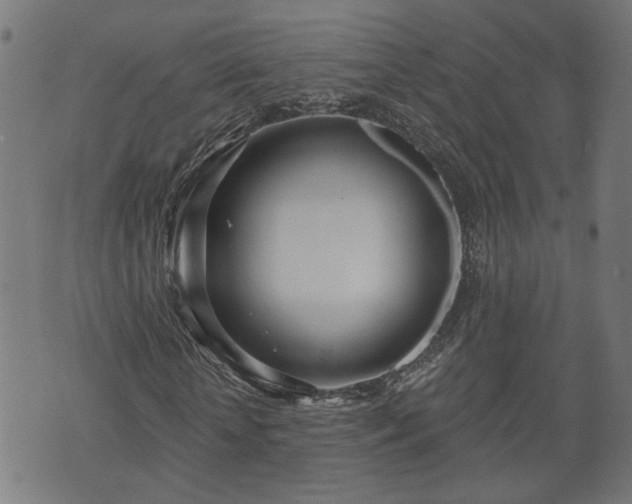 X0000070820818200606230919