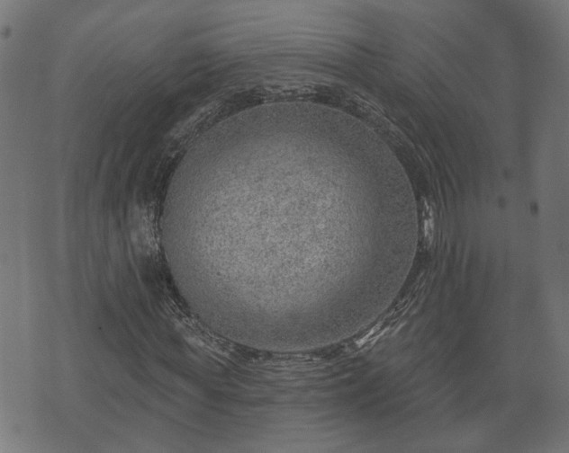 X0000070820819200606230919