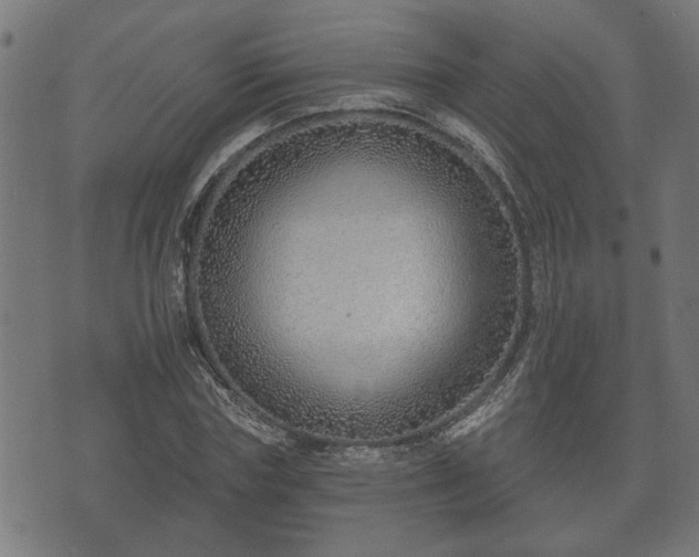 X0000070820827200606230919