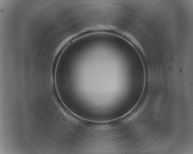 X0000070820837200606230919