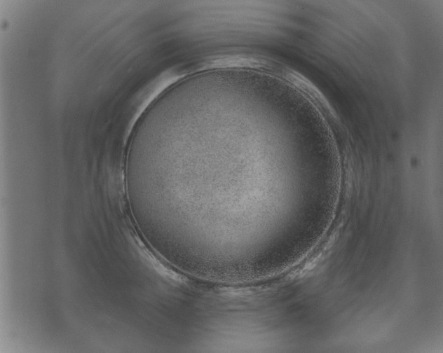 X0000070820852200606230920