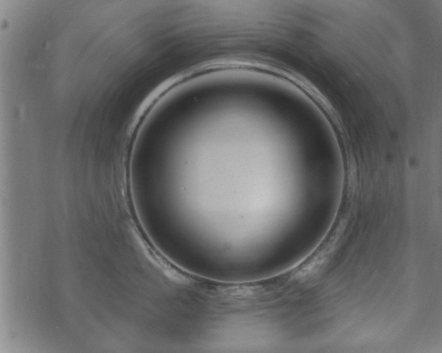 X0000070820862200606230920