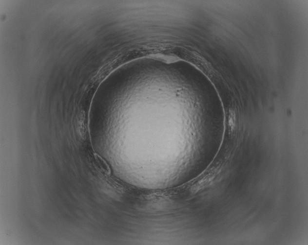 X0000070820867200606230919
