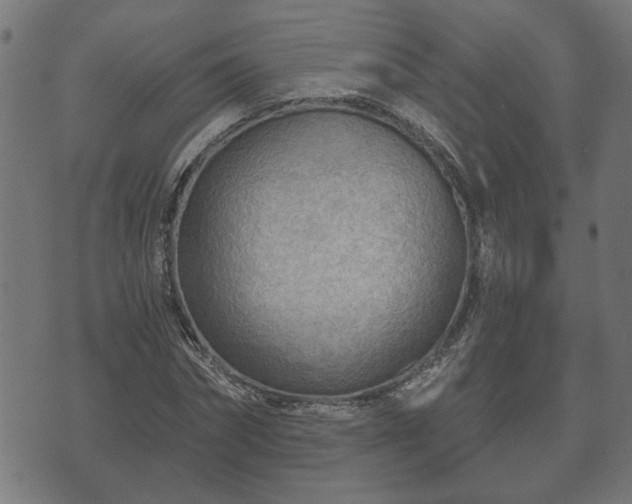 X0000070820874200606230919