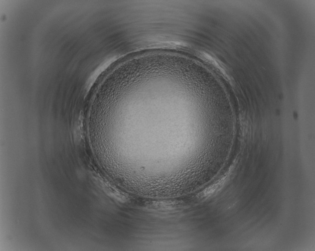 X0000070820875200606230919