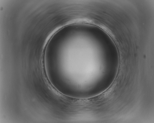 X0000070820912200606230918