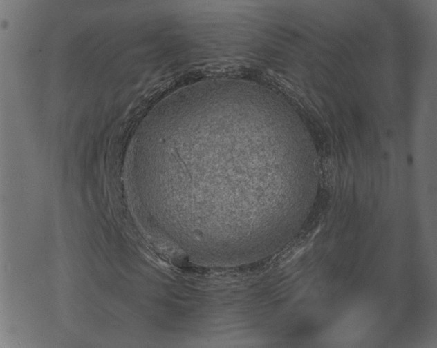 X0000070820913200606230917