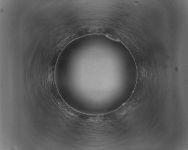 X0000070820914200606230917
