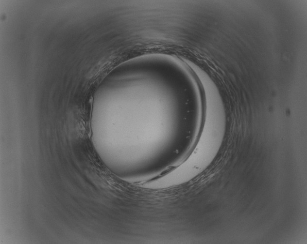 X0000070820916200606230917
