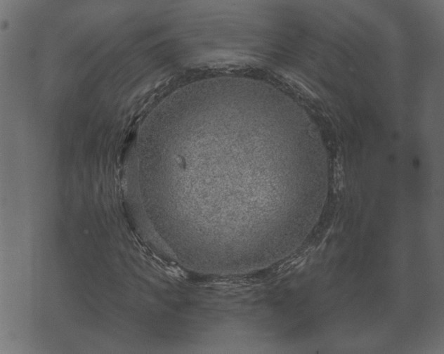 X0000070820917200606230917