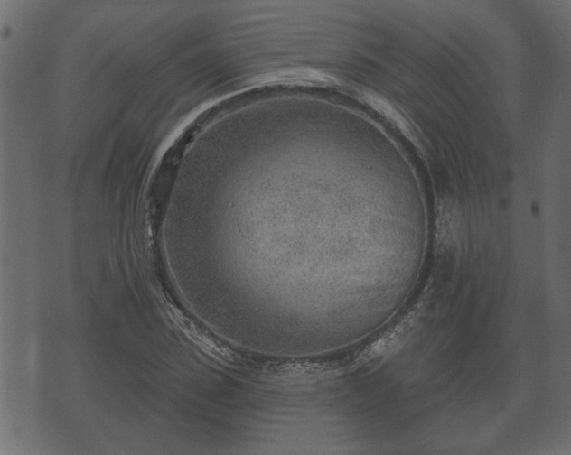 X0000070820923200606230918