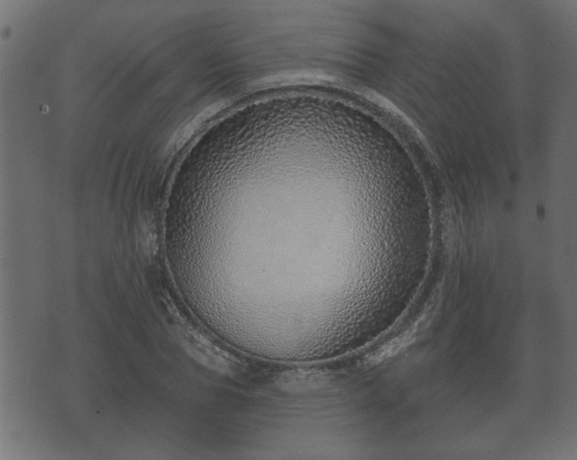 X0000070820929200606230918