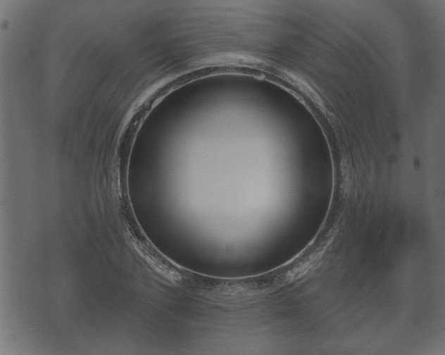 X0000070820931200606230918