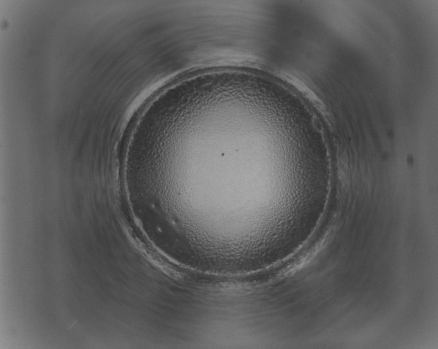 X0000070820933200606230918