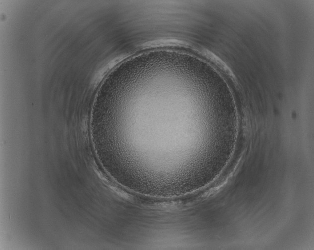 X0000070820937200606230918