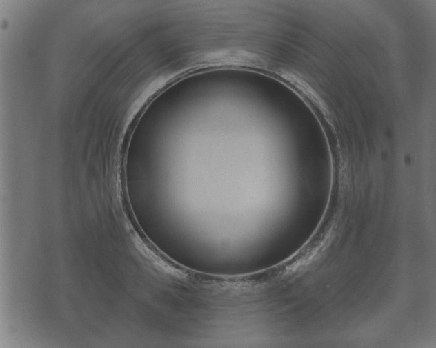X0000070820941200606230918
