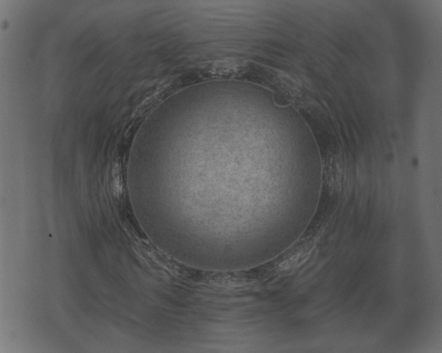 X0000070820962200606230917