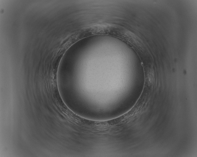 X0000070820964200606230917