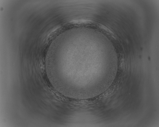 X0000070820966200606230917