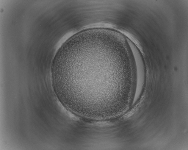 X0000070820998200606230917
