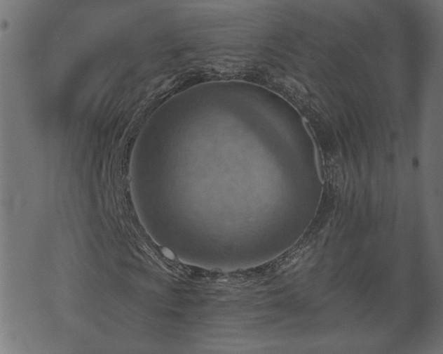X0000070821009200606230916