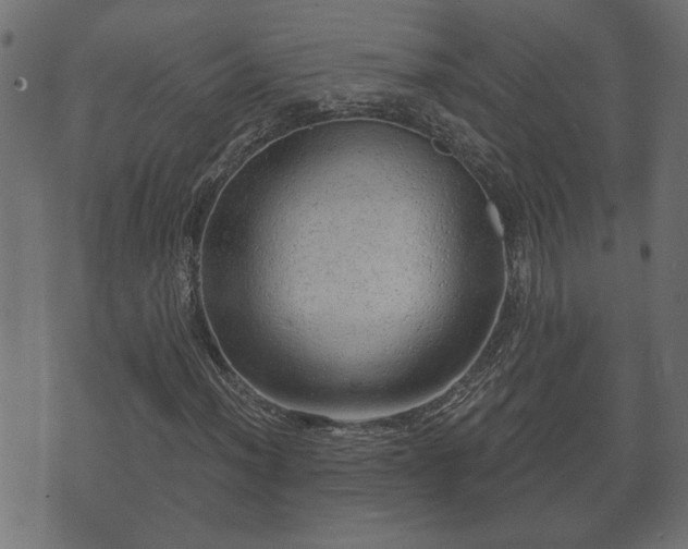 X0000070821012200606230916
