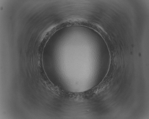 X0000070821016200606230916