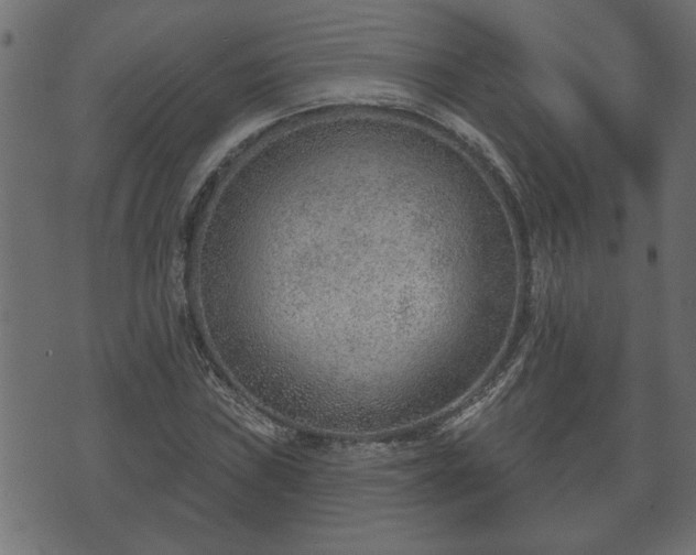 X0000070821019200606230916