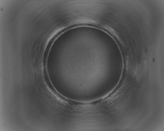 X0000070821024200606230916