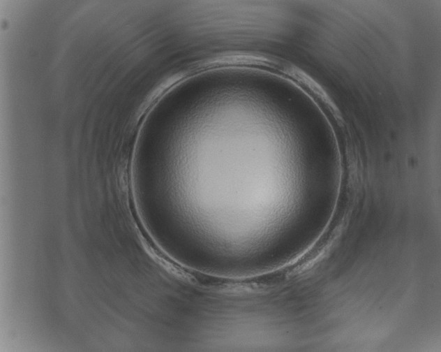 X0000070821049200606230916