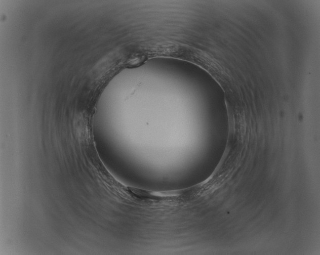 X0000070821058200606230916