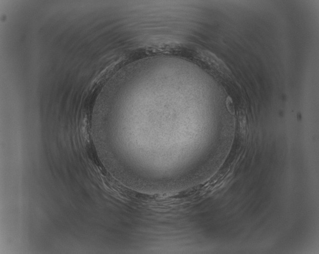 X0000070821060200606230916