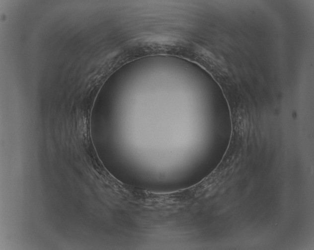 X0000070821061200606230916