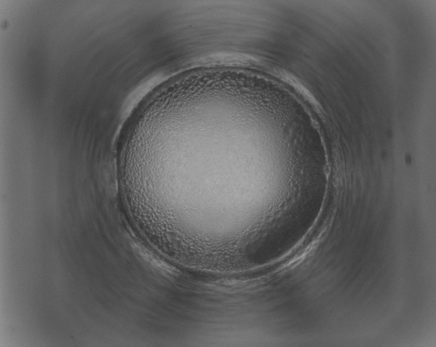 X0000070821075200606230916