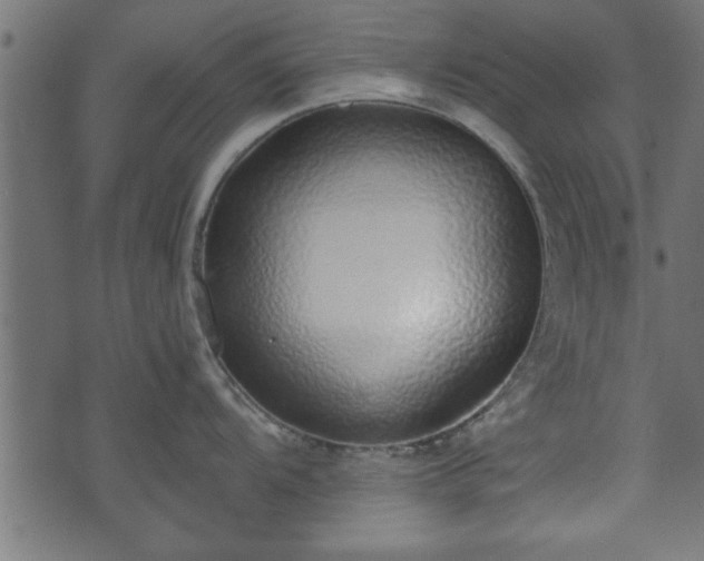 X0000070821104200606230915
