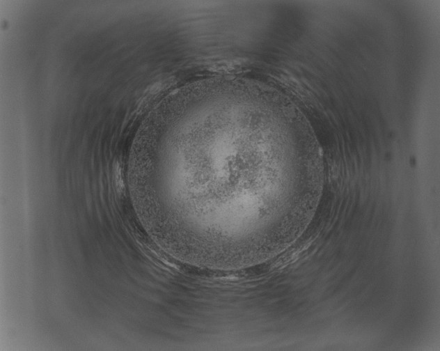 X0000070821106200606230914