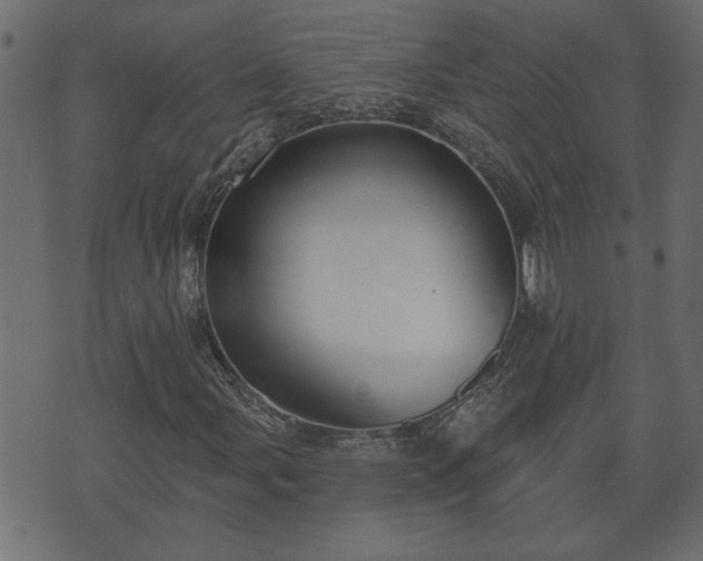 X0000070821107200606230914