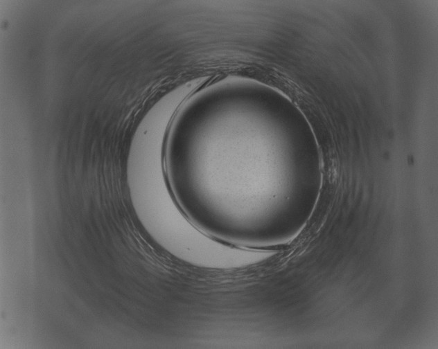 X0000070821108200606230914